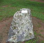 Patrick D. Murray : 25-January-2011