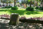 Peace Grove : 09-04-2014