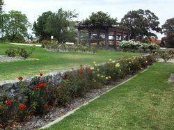 25-November-2013 (Bryan Hardy)