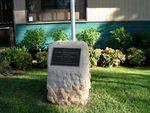 Peter Doherty Memorial