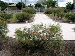 Pine Rivers District RSL Memorial Gardens
