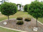 Pine Rivers District RSL Memorial Gardens
