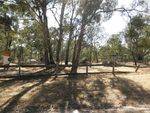 Pinkey Point Gold Discovery 2 : March 2014