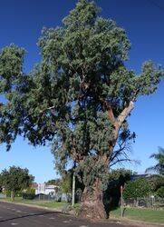 02-April-2021 (John Huth)