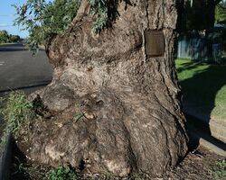 02-April-2021 (John Huth)