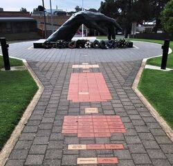 14-November-2021 (Bryan Hardy)