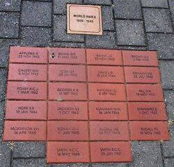 14-November-2021 (Bryan Hardy)