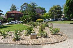 Balmain Cemetery Plaque : 18-November-2014