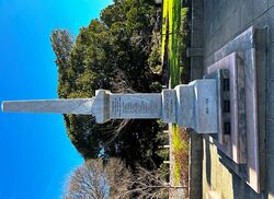 19-July-2023 (Fiona Morrison)