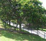 Powell Brothers Grove