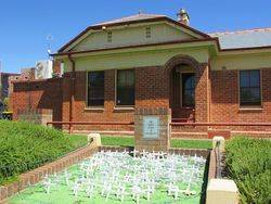 garden 3: 20-February-2017