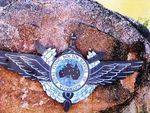 RFDS Insignia