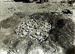 Rat Point Camp : 23-August-1992