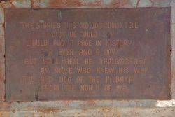 Plaque 3: 08-August-2015