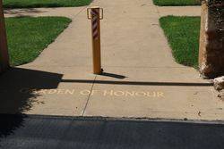 Garden 2: 27-January-2016