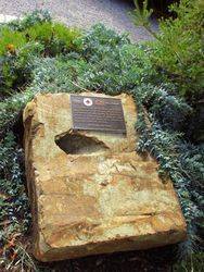 Red Cross 2 : 05-May-2016