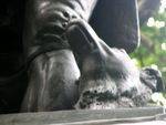 Robbie Burns Dog closeup