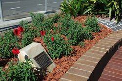 Gallipoli Rose : 05-May-2015