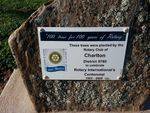 Rotary Centennial Plaque : June 2014
