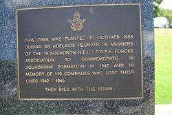 18 Squadron NE1 Plaque : 16-November-2014