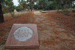 RAAF Grove 4 : 17-March-2015