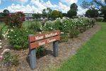 Mary MacKillop Rose Garden : June 2014