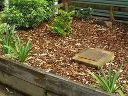 Memorial Garden : 09-October-2014