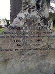 Tombstone Inscription : December 2013