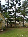 Memorial Pines : 30-05-2014