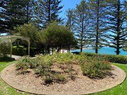 23-February-2022 (Fiona Morrison)