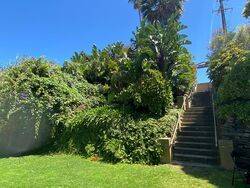 23-February-2022 (Fiona Morrison)