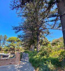 23-February-2022 (Fiona Morrison)