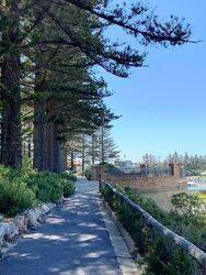 23-February-2022 (Fiona Morrison)