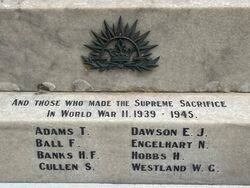 19-February-2022 (Fiona Morrison)