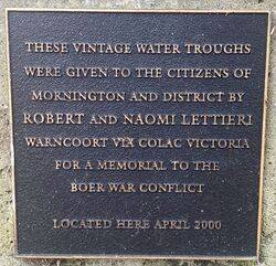 12-April-2022 (Fiona Morrison)