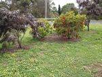 St Thomas Memorial Garden : November 2013