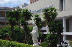 Statue 2 : 18-February-2015