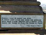 Sword of Pain Verse 