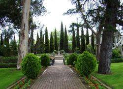 17-October-2018 (Bryan Cole)