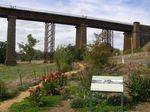 Taradale Viaduct : 15-04-2014