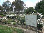 The Babies Garden : 01-December-2012