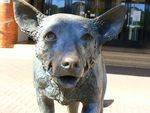 The Kelpie