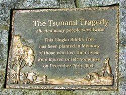 Plaque Inscription:25-October-2016 (Sandra Brown)