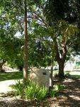 The World Memorial Drive : 23-April-2011