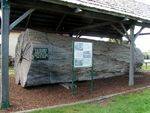 Timber Industry : 2007