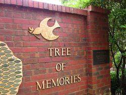 Tree 2 : 10- December-2014
