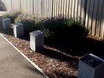 Kangaroo Flat Plaques : 16-11-2013
