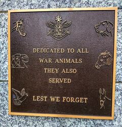 17-August-2023 (Sandra Brown)