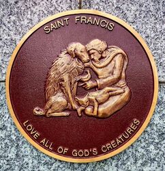 17-August-2023 (Sandra Brown)