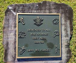 17-August-2023 (Sandra Brown)